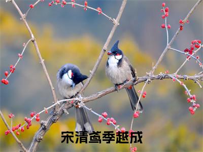 宋清鸢季越成全文免费阅读_（宋清鸢季越成免费阅读无弹窗）宋清鸢季越成最新章节列表笔趣阁