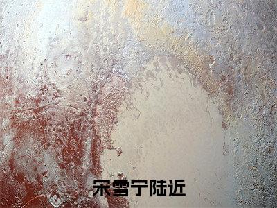 宋雪宁陆近小说（已完结小说全集完整版大结局）小说全文阅读笔趣阁