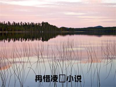 冉惜凌琤（冉惜凌琤)全文免费阅读无弹窗大结局_冉惜凌琤全文免费阅读_笔趣阁（冉惜凌琤）