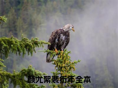 颜尤絮裴衍年（颜尤絮裴衍年）全网首发小说-小说颜尤絮裴衍年完整版全文在线赏析
