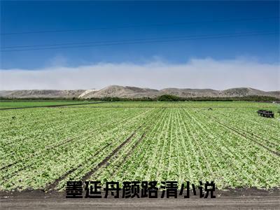 墨延舟颜路清（墨延舟颜路清）全文阅读完整版_墨延舟颜路清小说免费阅读大结局（墨延舟颜路清）