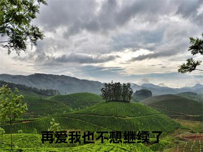 再爱我也不想继续了（傅司野林星蛮）全网首发最新小说-主角傅司野林星蛮全文在线免费阅读