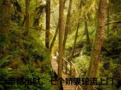 叶扬(离婚出狱，七个娇妻轮流上门小说)全文免费阅读无弹窗大结局_离婚出狱，七个娇妻轮流上门小说免费阅读最新章节列表_笔趣阁（叶扬小说）