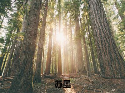 苏墨小说（阳光斗罗 ）全文免费阅读_苏墨小说阳光斗罗 小说最新章节列表笔趣阁