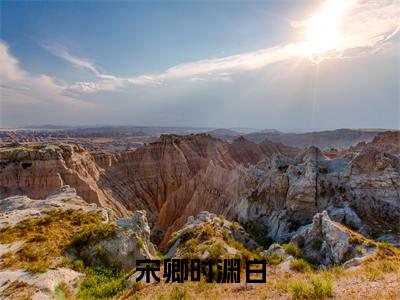 宋卿时渊白（宋卿时渊白最新全章节大结局）全文阅读-宋卿时渊白宋卿时渊白在线小说免费阅读