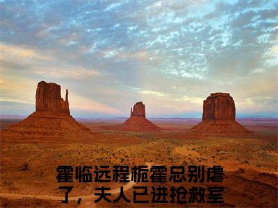 霍总别虐了，夫人已进抢救室（霍临远程栀）多人追免费无弹窗小说-主角霍临远程栀完整版在线阅读（霍总别虐了，夫人已进抢救室）