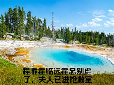 小说（程栀霍临远）在线赏析_霍总别虐了，夫人已进抢救室txt小说在线阅读笔趣阁