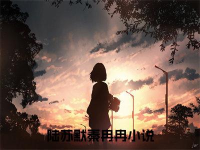 陆苏默秦冉冉(陆苏默秦冉冉)全文免费阅读无弹窗大结局_陆苏默秦冉冉（陆苏默秦冉冉全文）最新章节列表笔趣阁（陆苏默秦冉冉）