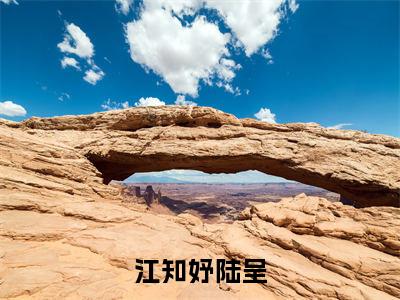 江知妤陆呈（江知妤陆呈）小说推荐精彩章节全文阅读-热门小说江知妤陆呈（江知妤陆呈）精选章节阅读