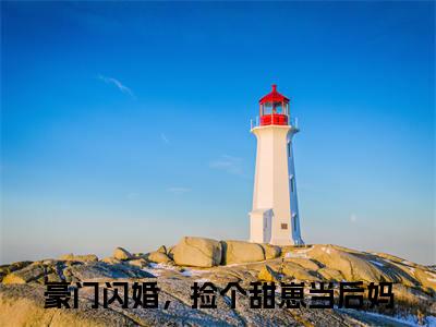 施颜谈晏小说豪门闪婚，捡个甜崽当后妈（已完结小说全集完整版大结局）施颜谈晏小说全文阅读笔趣阁