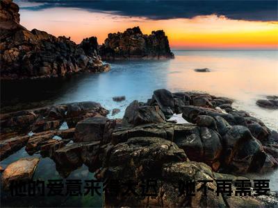 明若汐周辞深(他的爱意来得太迟，她不再需要)全文免费阅读无弹窗大结局_明若汐周辞深完整版在线阅读章节列表_笔趣阁