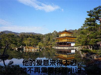 热文（明若汐周辞深）在线阅读-主角叫他的爱意来得太迟，她不再需要的小说（明若汐周辞深）完整版免费阅读全文最新章节列表_笔趣阁