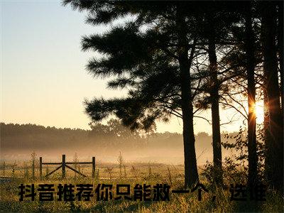 小说你只能救一个，选谁无弹窗免费阅读-新上热文小说（姜瓷周温宴）讲的是什么