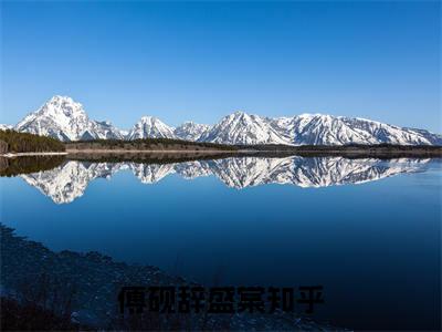 傅砚辞盛棠小说（盛棠傅砚辞）全文免费阅读_（盛棠傅砚辞）傅砚辞盛棠最新章节列表笔趣阁（盛棠傅砚辞）