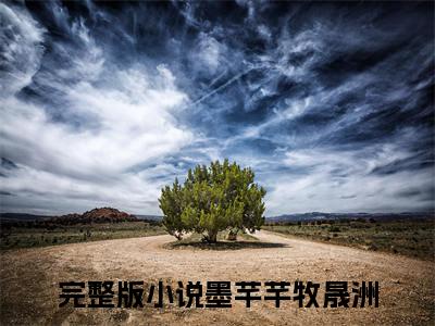 末世，我靠机关术成为废土女王小说全文-末世，我靠机关术成为废土女王（墨芊芊牧晟洲）最新章节免费阅读