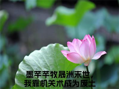末世，我靠机关术成为废土女王小说全文-墨芊芊牧晟洲小说免费阅读大结局