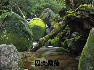 周奕桑落（桑落周奕）最火免费小说最新更新-周奕桑落（桑落周奕）全文已更新最新章节