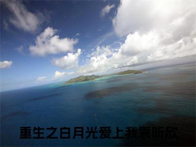 重生之白月光爱上我最新完结免费阅读-袁昕欣悬疑小说在线阅读