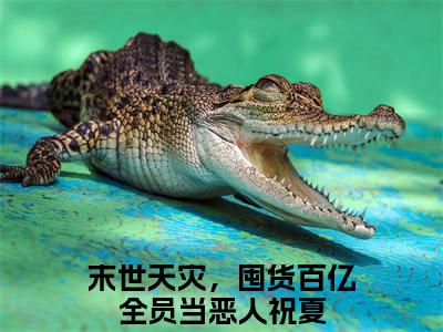 末世天灾，囤货百亿全员当恶人全文免费阅读无弹窗大结局_（祝夏）末世天灾，囤货百亿全员当恶人免费阅读无弹窗最新章节列表_笔趣阁