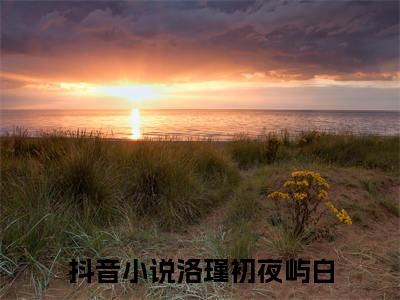 洛瑾初夜屿白全文免费阅读无弹窗大结局-紫玉空间重启，帝后重返神御界了全文在线阅读