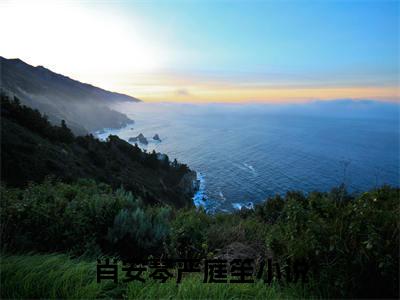 肖安琴严庭笙无弹窗（肖安琴严庭笙）全文免费阅读无弹窗大结局_（肖安琴严庭笙无弹窗）肖安琴严庭笙无弹窗最新章节列表笔趣阁