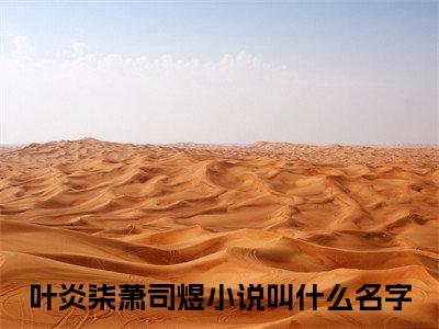 小说（叶炎柒萧司煜）_叶炎柒萧司煜全文阅读_叶炎柒萧司煜免费阅读大结局