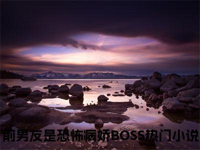 前男友是恐怖病娇BOSS全文免费阅读大结局-沈肆白桉柠最新章节列表笔趣阁
