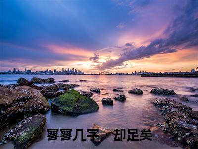 寥寥几字，却足矣热门小说在线阅读 南诗影苏元璟全网推荐（寥寥几字，却足矣）全文