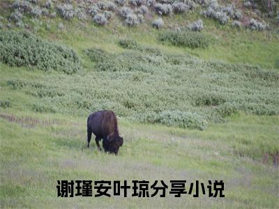 谢瑾安叶琼精彩小说赏析全文 谢瑾安叶琼热门小说免费阅读