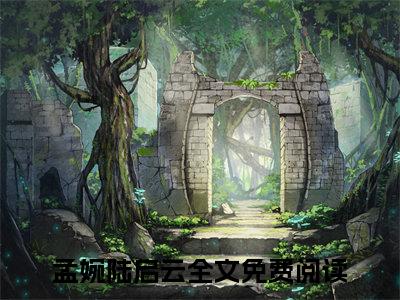 孟婉陆启云小说免费阅读-孟婉陆启云全文小说全章节阅读