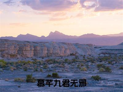 慕芊九君无邪（慕芊九君无邪）最新章节阅读-热点小说榜单推荐慕芊九君无邪