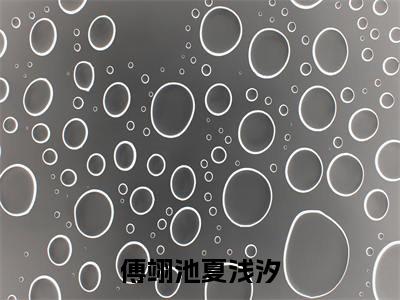 傅翊池夏浅汐小说全文免费阅读_（傅翊池夏浅汐）若梦初醒莫回首最新章节列表笔趣阁