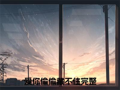爱你偷偷藏不住（卫颜冷夜霆）女生必看小说全集_卫颜冷夜霆（爱你偷偷藏不住）全文免费阅读