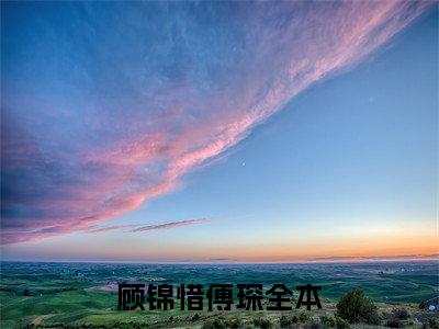 顾锦惜傅琛近期热推小说-顾锦惜傅琛小说精彩阅读