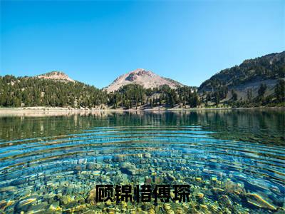 （顾锦惜傅琛）是什么小说-顾锦惜傅琛（顾锦惜傅琛）免费阅读大结局最新章节列表_笔趣阁