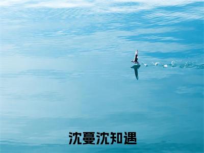 沈先生，孩子真是你的全文免费阅读无弹窗大结局，沈蔓沈知遇小说最新章节