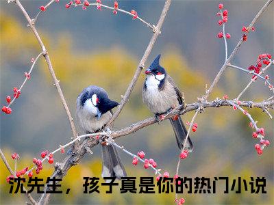 小说（沈先生，孩子真是你的）在线赏析_沈蔓沈知遇txt小说在线阅读笔趣阁