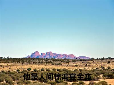 秦栀意孟祈望（他是人间惊鸿宴）免费小说-秦栀意孟祈望小说完整版阅读
