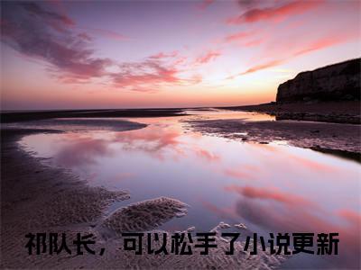祁队长，可以松手了免费阅读苏韵祁征最新章节目录