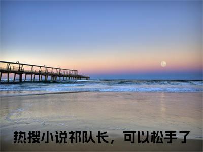 苏韵祁征（祁队长，可以松手了）笔趣阁免费小说全文完整版-祁队长，可以松手了无弹窗免费阅读