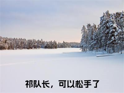 祁队长，可以松手了（苏韵祁征）全文无弹窗阅读-精彩小说苏韵祁征（祁队长，可以松手了）