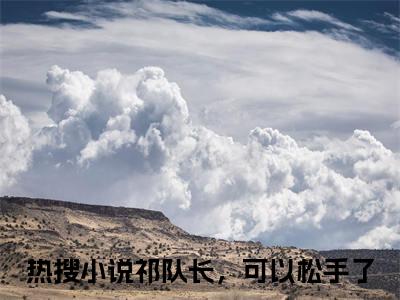 祁队长，可以松手了是什么小说-小说苏韵祁征全文阅读