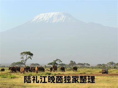 高赞小说陆礼江晚茵（陆礼江晚茵小说免费阅读）完结阅读_陆礼江晚茵全文免费阅读最新章节大结局