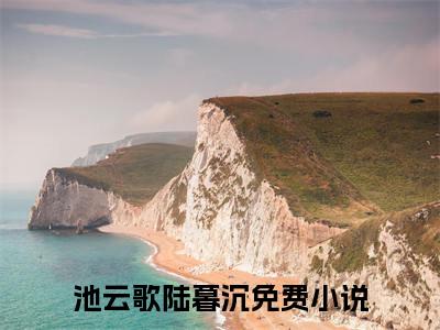 池云歌陆暮沉小说免费阅读 池云歌陆暮沉免费阅读无弹窗小说