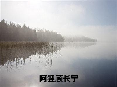 阿狸顾长宁（阿狸顾长宁）小说全文免费阅读无弹窗-（阿狸顾长宁）小说全文免费阅读最新章节列表笔趣阁