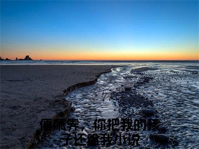 傅萧霁，你把我的孩子还给我（李月纾傅萧霁）多人推荐-李月纾傅萧霁傅萧霁，你把我的孩子还给我好看的小说完整版全文