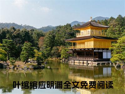 和竹马结婚后，她被虐死了(叶绾绾应明渊)全文免费阅读无弹窗大结局_和竹马结婚后，她被虐死了小说最新章节列表_笔趣阁