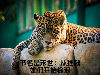 末世：从拯救她们开始徐浪小说全文免费阅读无弹窗,（末世：从拯救她们开始徐浪）小说全文免费阅读