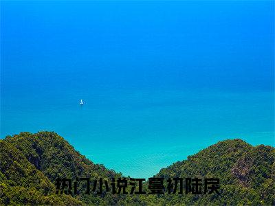 抖音新书热荐江蔓初陆戾-小说全文完整版免费阅读