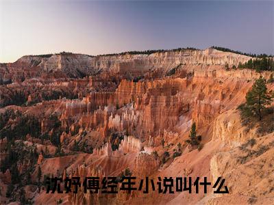 沈妤傅经年免费阅读（沈妤傅经年）全文免费阅读无弹窗大结局_沈妤傅经年免费阅读最新章节列表_笔趣阁